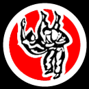 Judo Starnberg Logo